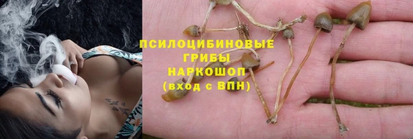 ECSTASY Волосово
