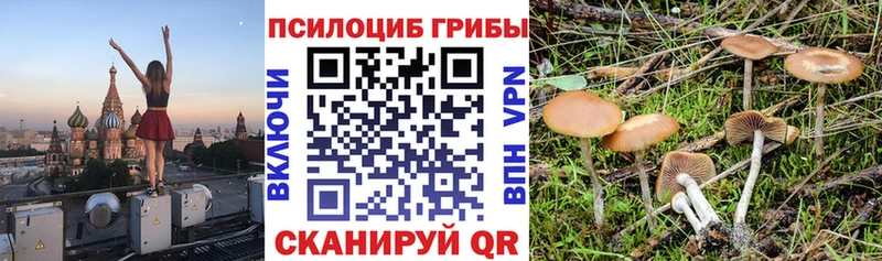 Псилоцибиновые грибы MAGIC MUSHROOMS  даркнет телеграм  Снежинск 